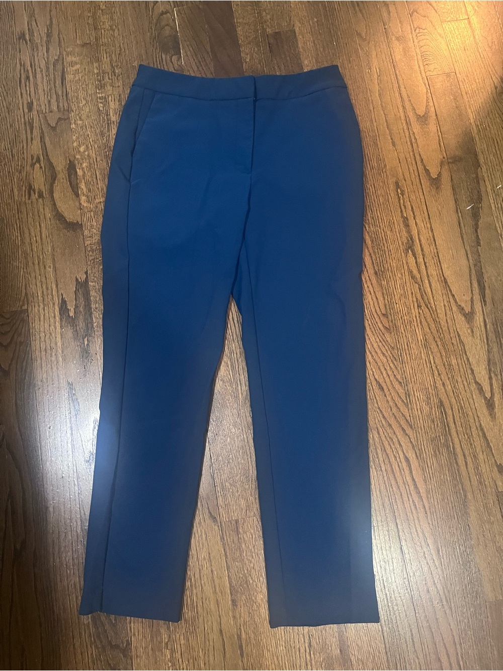 Rachel Zoe Blue Pants